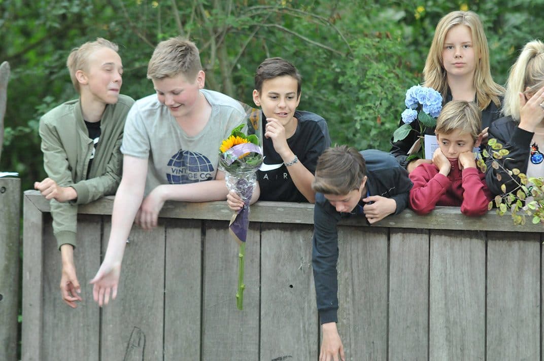 Jaarfeesten